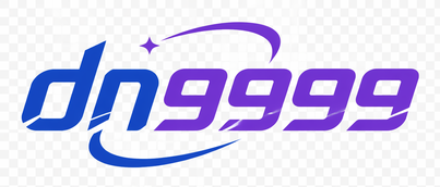 dn9999 logo